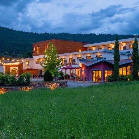 Main-Vinotel Weingut Helmstetter Buergstadt Eksteriør billede
